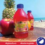 0 Tampico - Big Island Punch