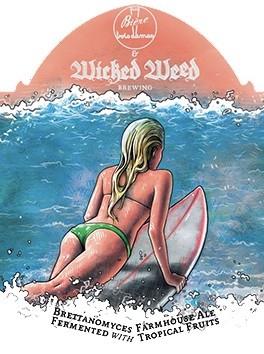 Wicked Weed Brewing - Metatropics (500ml) (500ml)