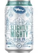 Dogfish Head Craft Brewery - Slightly Mighty LoCal IPA (12 pack cans)
