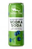 Dogfish Head Craft Brewery - Blueberry Shrub Vodka Soda (44)