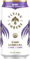 Flying Embers - Ancient Berry Hard Kombucha (66)